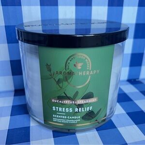 NEW BBW - Stress Relief Eucalyptus + Spearmint